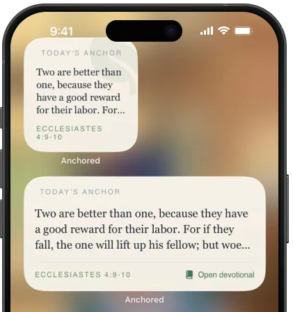 Two Anchored widgets showing today's verse, Ecclesiastes 4:9-10